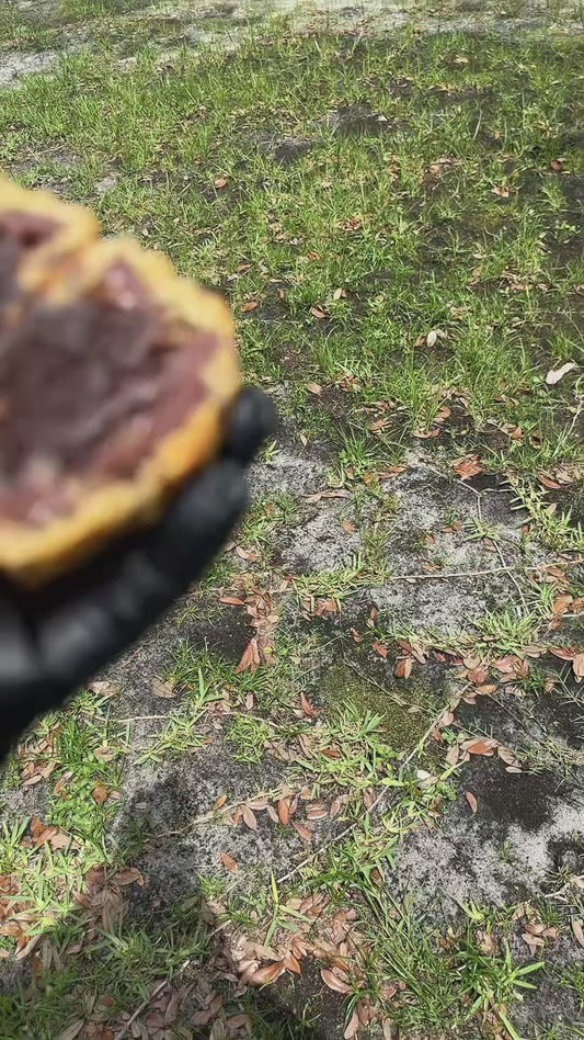 Chocolate bomb